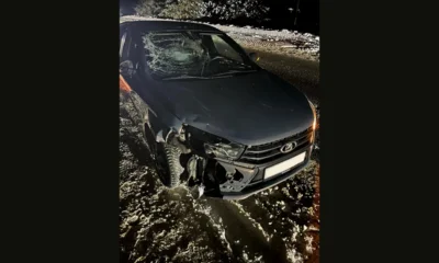 На орловской трассе пешеход погиб под колёсами автомобиля