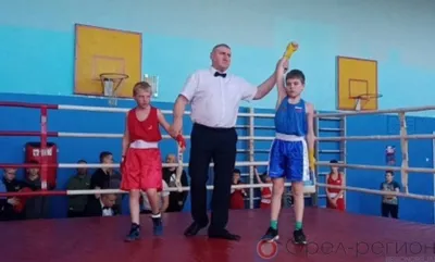 Верховские спортсмены завоевали 11 медалей на всероссийских соревнованиях по боксу