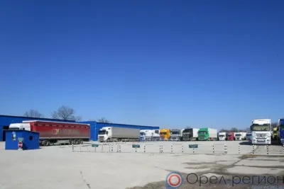 В 2020 году на Орловщине на 47% увеличилось количество экспортных поставок кормов и кормовых добавок