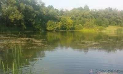В Орловской области из воды достали тело мужчины