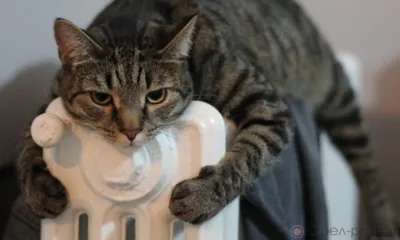 11 районов Орловщины полностью готовы к отопительному сезону