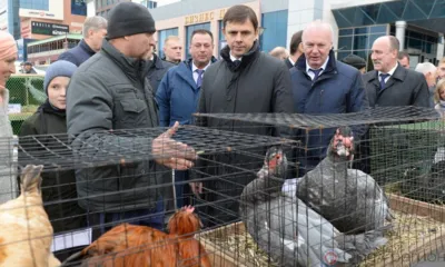 22 октября в ТМК«ГРИНН» состоялось чествование аграриев Орловщины