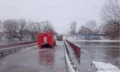 В Орловской области от воды освободились все мосты