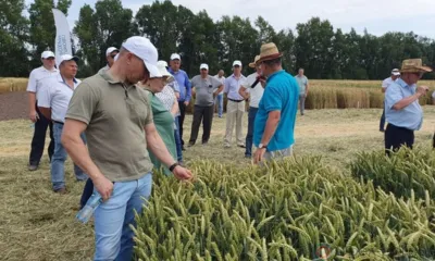 Пять лет работы на отечественную селекцию