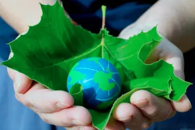 В научной библиотеке ОГУ имени И.С. Тургенева прошёл круглый стол «Зелёная экономика»