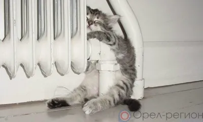 В Орле аварийно остановили работу котельной на ул. Спивака