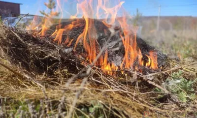 На Орловщине установлен особый противопожарный режим