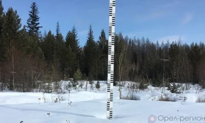 Циклон почти не тронул Болхов, а Мценск оказался самым заснеженным