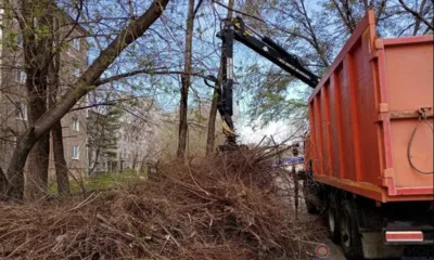 В Орле неубранные от порубочных остатков места внесут в единый реестр