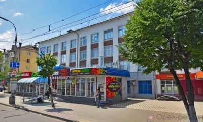 Весной на «Чайке» в Орле высадят молодые деревья