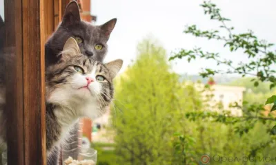 В Орловской области станет теплее