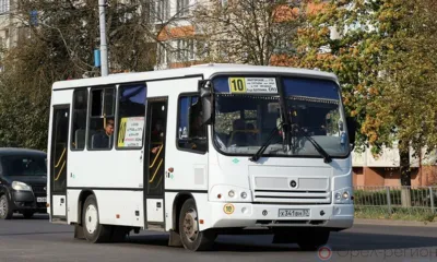 Компас в мире вопросов
