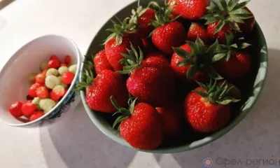 Производство плодово-ягодной продукции в Орловской области