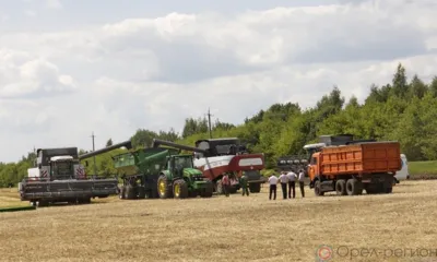 Работники сельского хозяйства и перерабатывающей промышленности Орловщины принимают поздравления