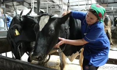 «Сельские» надбавки горожанам