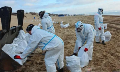 Орловские волонтёры на 2 недели отправятся к Чёрному морю