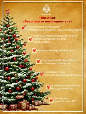 Фото 1. Орловцам напомнили о правилах безопасности в новогодние праздники