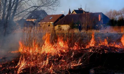 Орловцам напомнили об опасности и ответственности за палы сухой травы