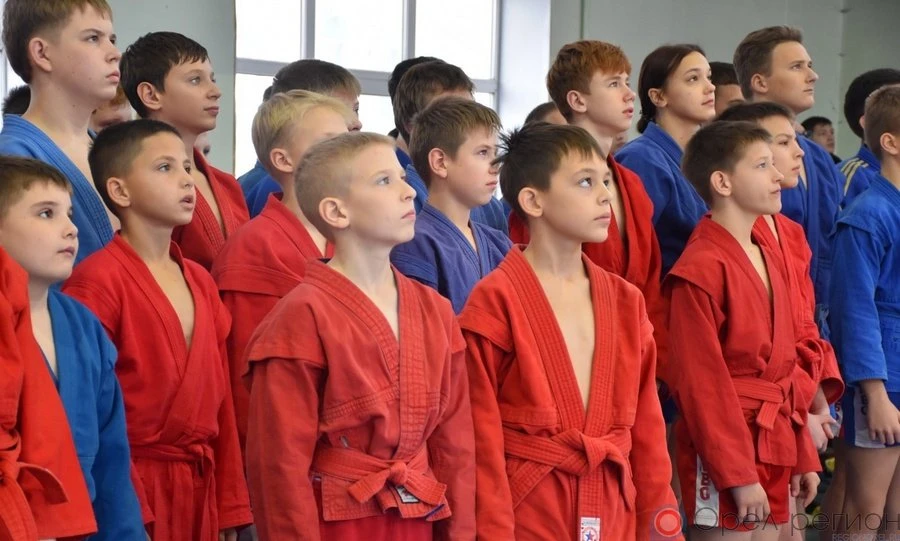 Самбо - в каждой школе
