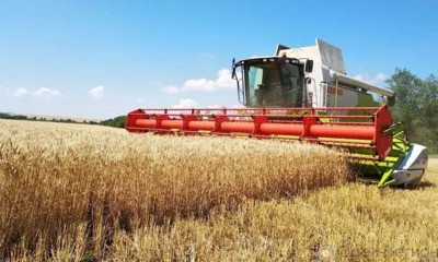 Орловские аграрии готовятся к жатве хлебов
