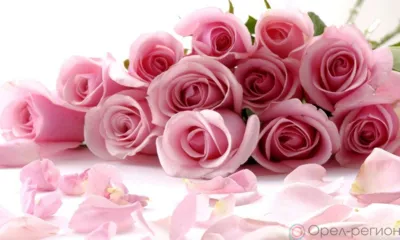 Орловчанки принимают поздравления с Международным женским днём