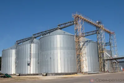 В Орловской и Курской областях отозвано свыше 100 деклараций о соответствии зерна