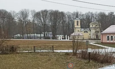 В Орле открылась выставка «Дом-музей И.С. Тургенева в Спасском-Лутовинове. К 45-летию со дня открытия»
