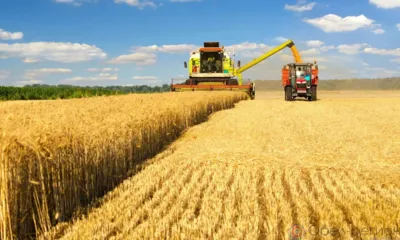 Андрей Клычков поздравил хлеборобов Орловщины с первым миллионом тонн зерна