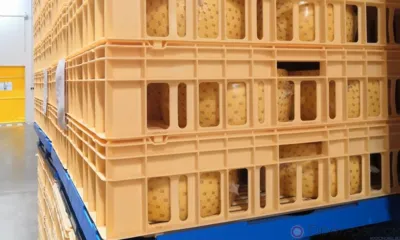 Орловское предприятие сможет поставлять свою продукцию в Туркменистан, Ирак, Иран и Турцию