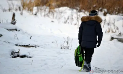 Орловская прокуратура проверяет факт оставления водителем школьника на загородной дороге