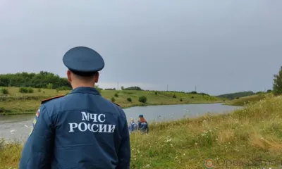 12-летняя девочка утонула в пруду под Орлом