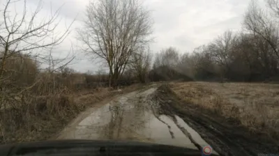 Бастрыкин потребовал от орловского СК доклад о дороге в Спасском