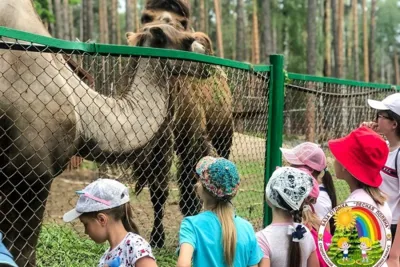 «Лесная поляна» организовала поездку ребят в «Орловское полесье»