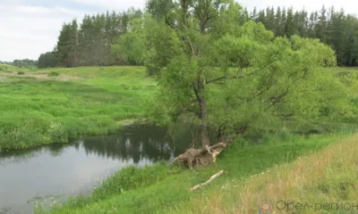 Орловский суд вынес приговор виновной в гибели школьников