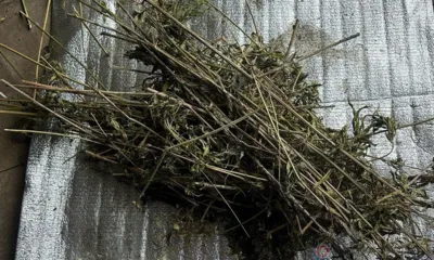 У жителя Верховья нашли крупную партию наркотиков