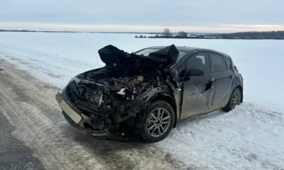 Фото 1. Под Орлом на автомобиль с младенцем упала остановка