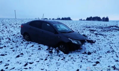 В Орловской области Kia Rio вылетела в кювет и перевернулась