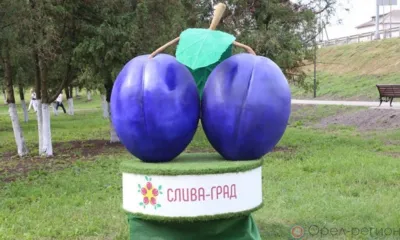 В Кромском районе отменили фестиваль «Слива-Град»