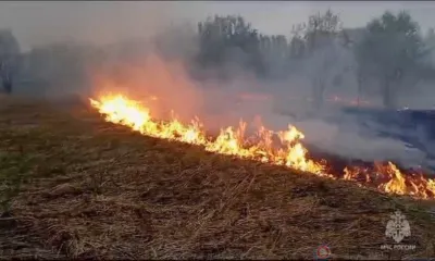 С начала года на Орловщине зафиксировано 247 случаев горения сухой травы