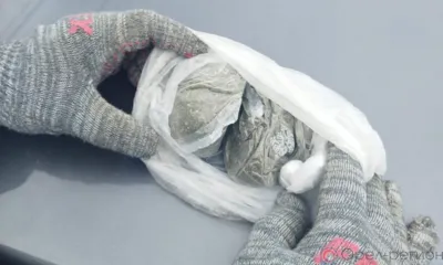 Житель Мценска носил в кармане почти 150 г марихуаны