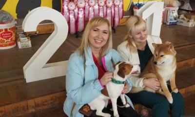 Сегодня в Орле проходят сразу две выставки породистых собак