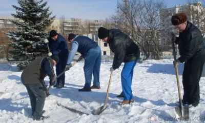 Оплачиваемые работы-2022