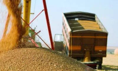 Трое жителей Кромского района похитили более 50 тонн комбикорма