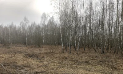 Россельхознадзор оштрафовал предприятие за свалку в Ливенском районе