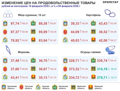 Фото 1. Динамика цен по данным Орёлстата