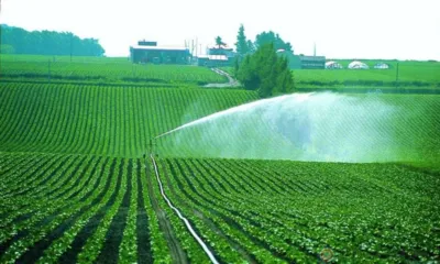 6 июня - День мелиоратора