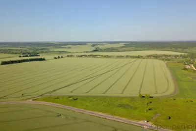 В Орловской области используется более 99% сельскохозяйственных угодий