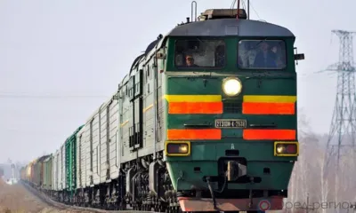 Орловский Россельхознадзор проверил около 20 тысяч тонн кормов и кормовых добавок