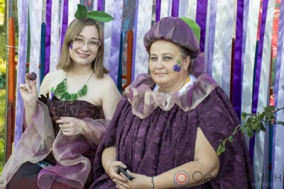 «Слива-град»