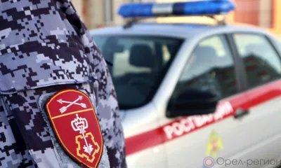 Новости Росгвардии: За неделю пресечено 12 административных правонарушений